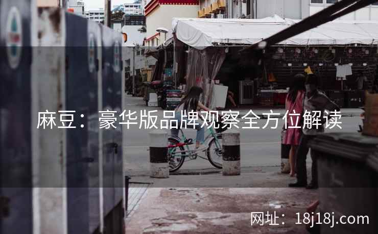 麻豆：豪华版品牌观察全方位解读
