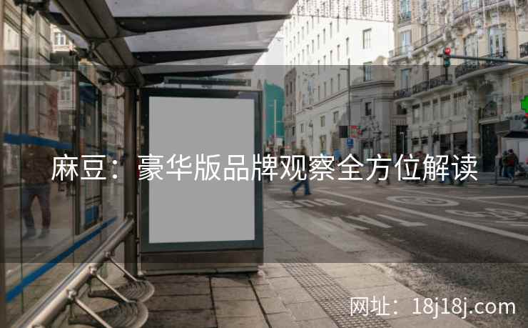 麻豆：豪华版品牌观察全方位解读