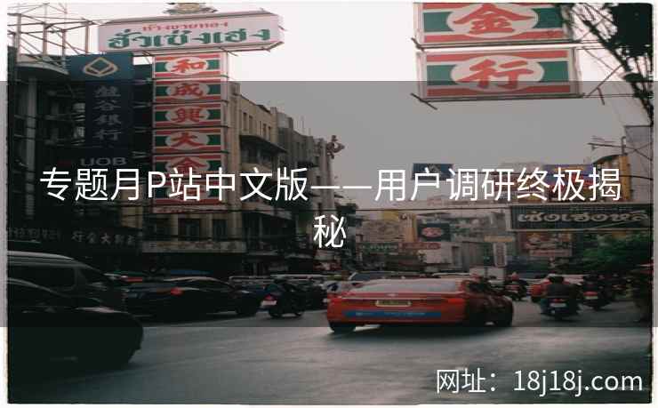 专题月P站中文版——用户调研终极揭秘
