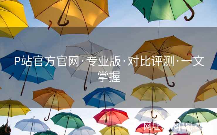 P站官方官网·专业版·对比评测·一文掌握
