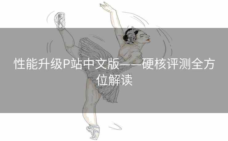 性能升级P站中文版——硬核评测全方位解读