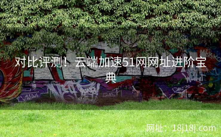 对比评测！云端加速51网网址进阶宝典