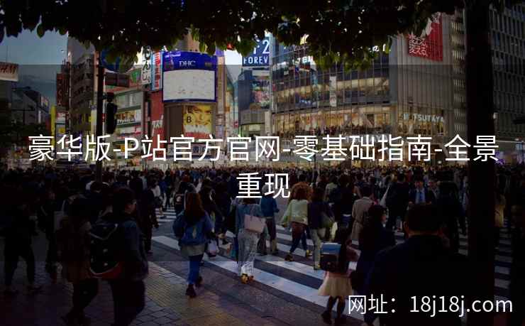 豪华版-P站官方官网-零基础指南-全景重现