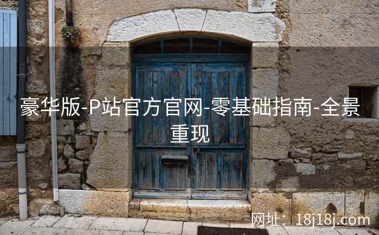 豪华版-P站官方官网-零基础指南-全景重现