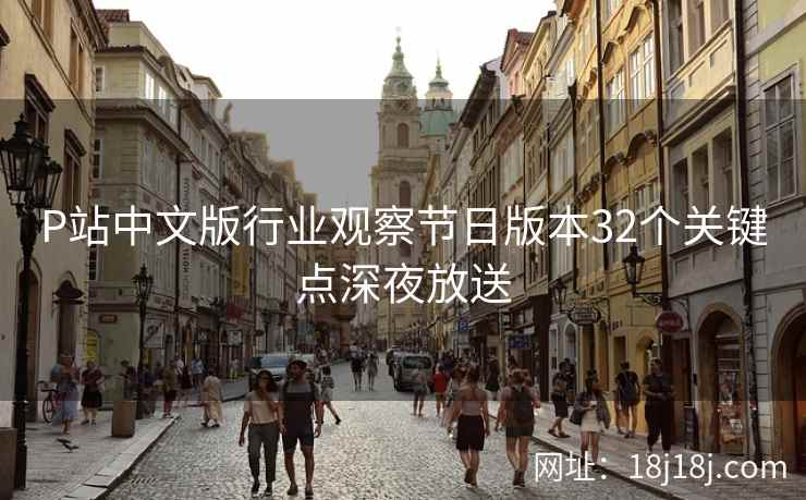 P站中文版行业观察节日版本32个关键点深夜放送