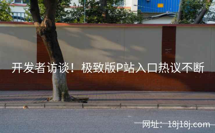 开发者访谈！极致版P站入口热议不断