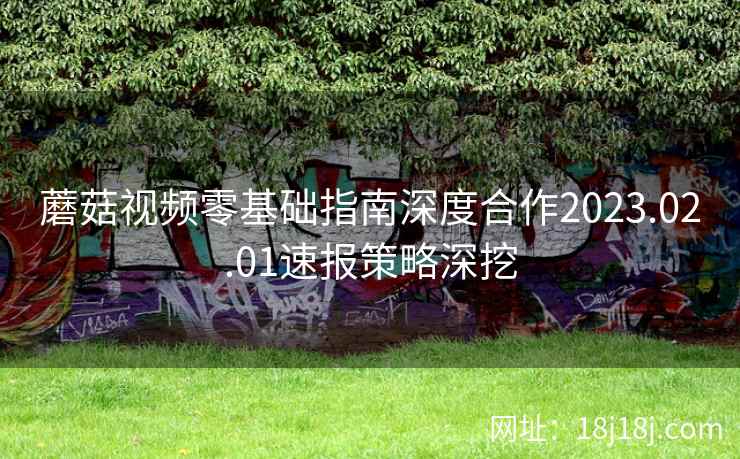 蘑菇视频零基础指南深度合作2023.02.01速报策略深挖 蘑菇视频零基础指南深度合作2023.02.01速报策略深挖