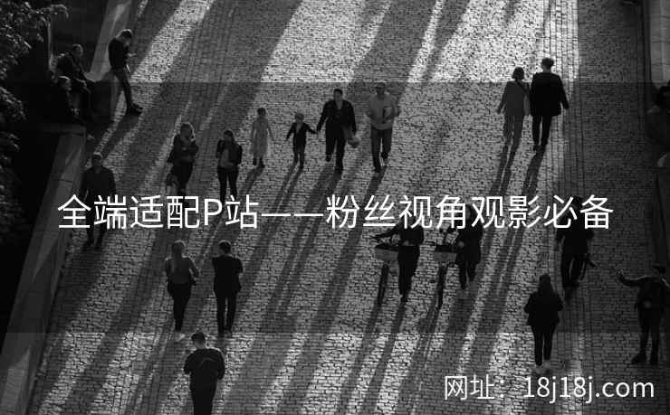 全端适配P站——粉丝视角观影必备