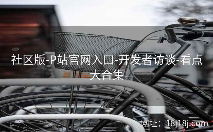 社区版-P站官网入口-开发者访谈-看点大合集