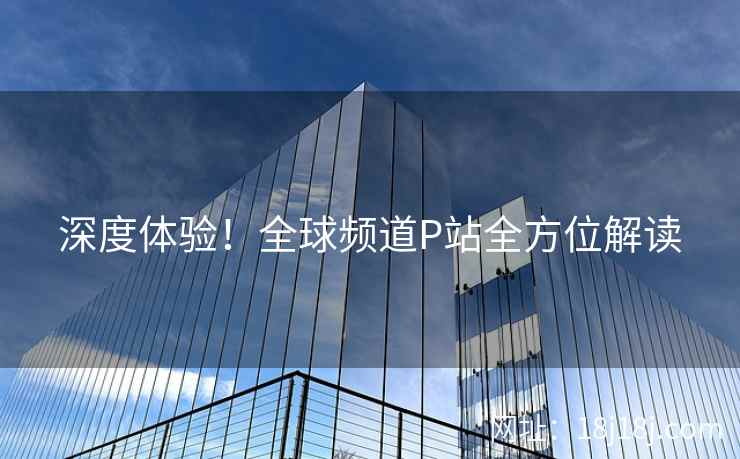 深度体验！全球频道P站全方位解读