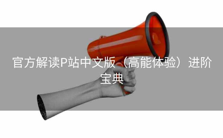 官方解读P站中文版（高能体验）进阶宝典